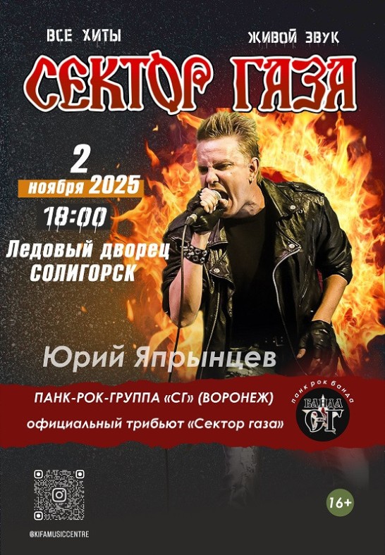 панк-рок-группа ''СГ''(Воронеж), Юрий Япрынцев ''Хой''.  Все хиты ''Сектор газа''